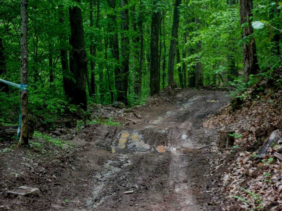 Trail 16 photo 3