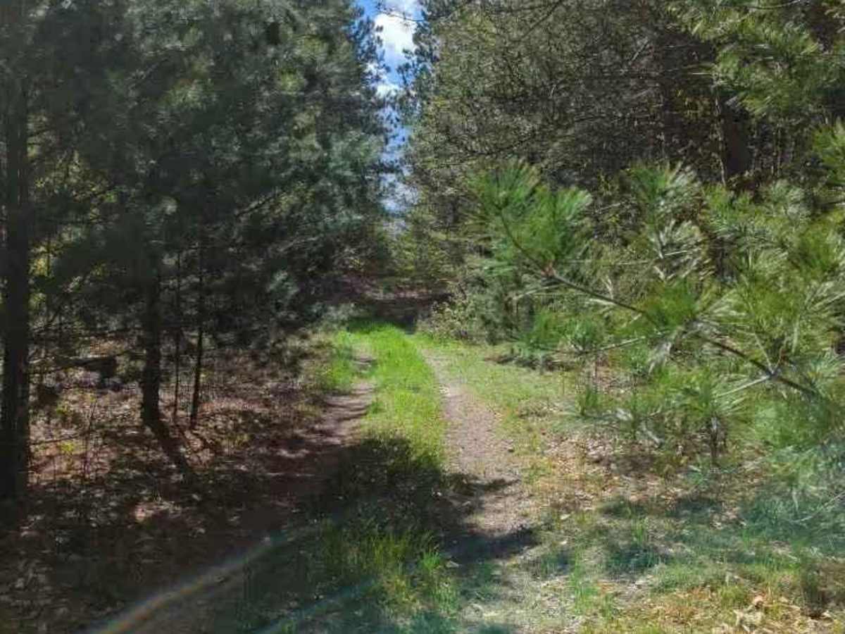 Grassy Pass photo 3