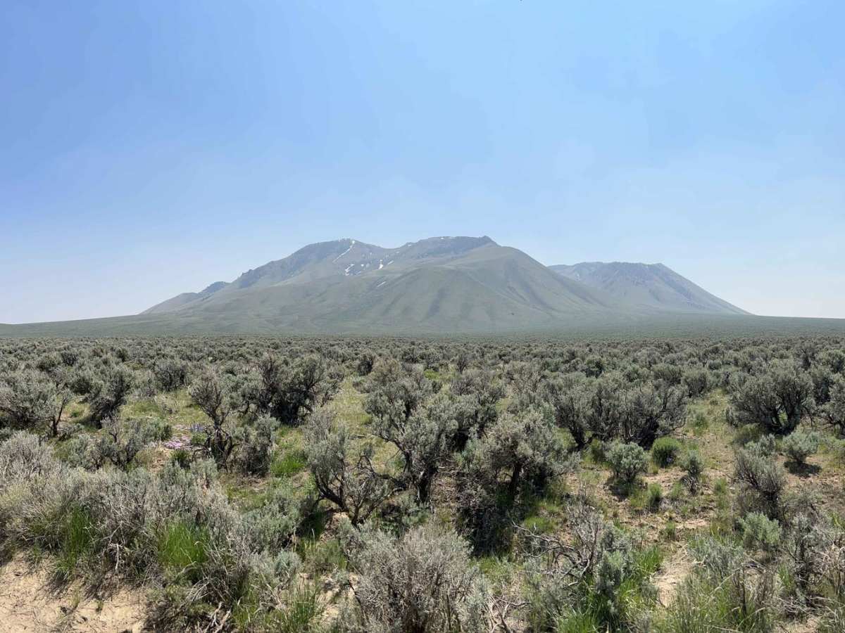 Atomic City to Frenchman's Cabin trail photo
