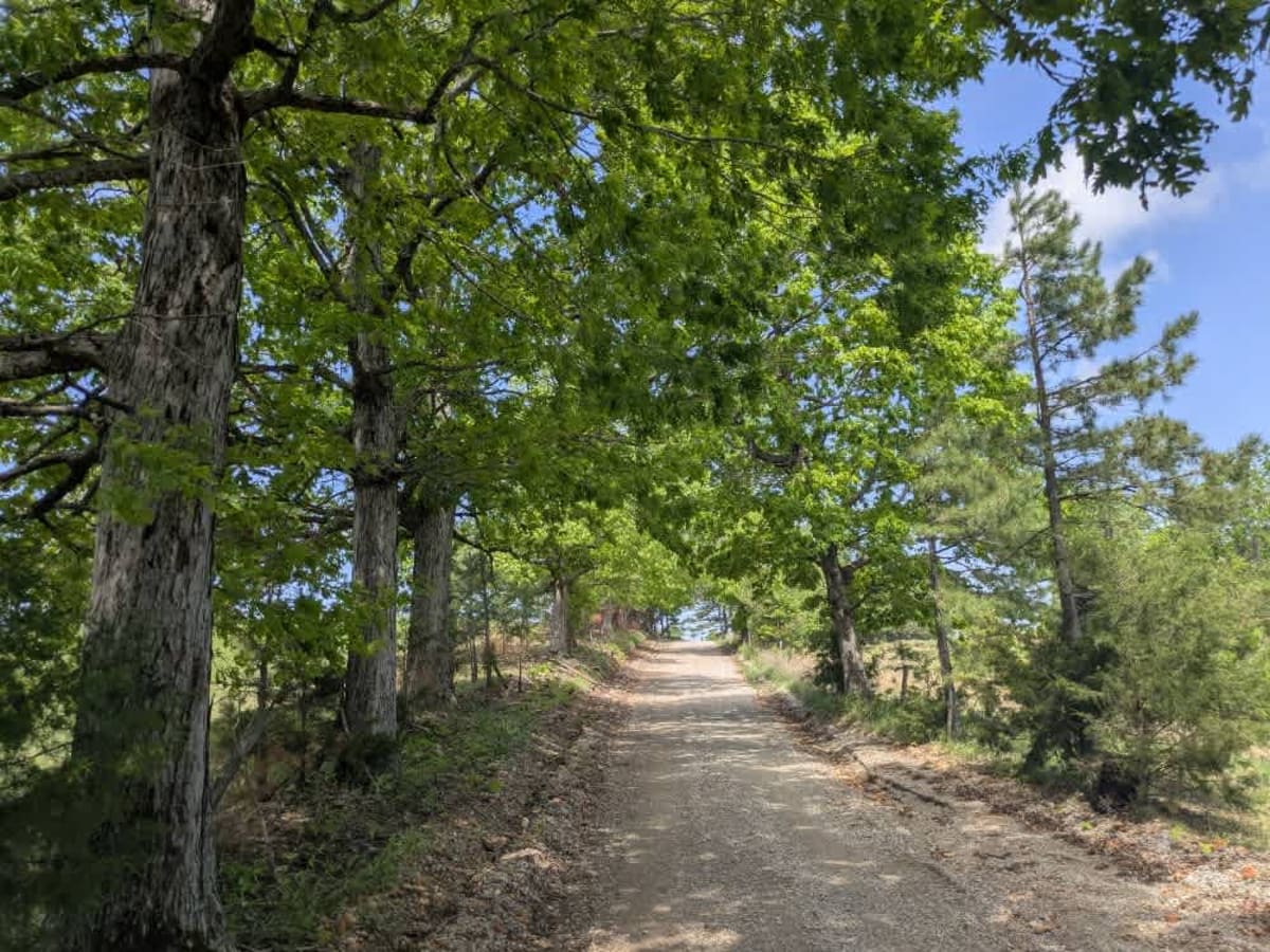 1101 Road photo 5