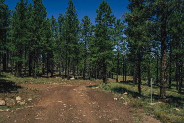 Bear Jaw Canyon