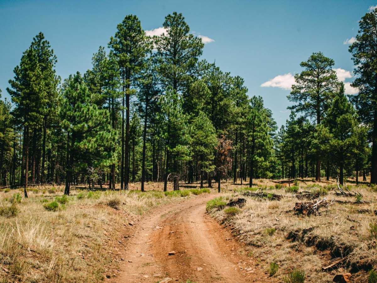 Marteen Dam trail photo