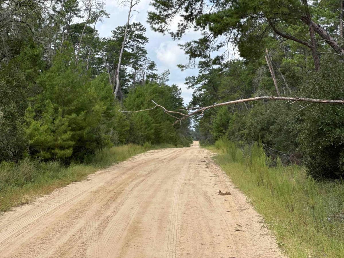 South Boundary Trail - ONF 2 photo 6