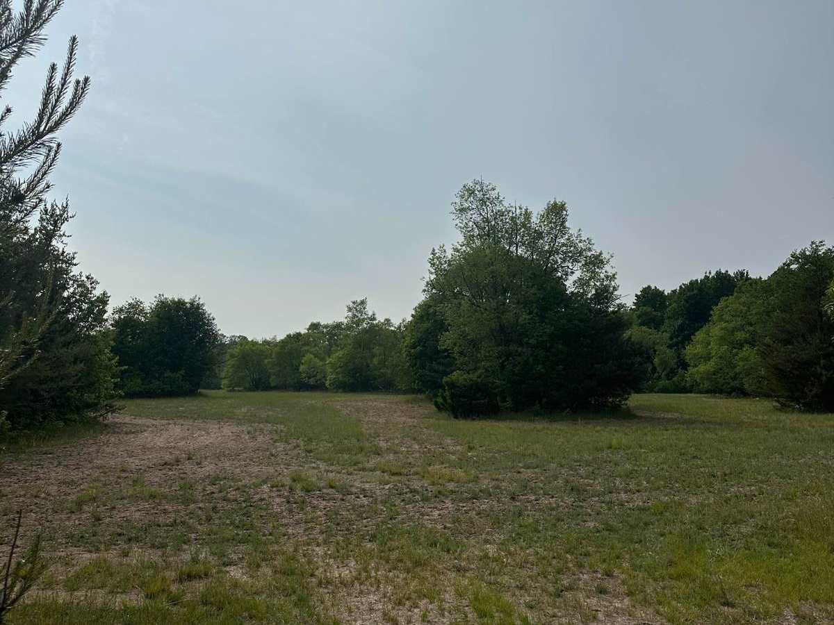 South Pioneer Loop photo 5