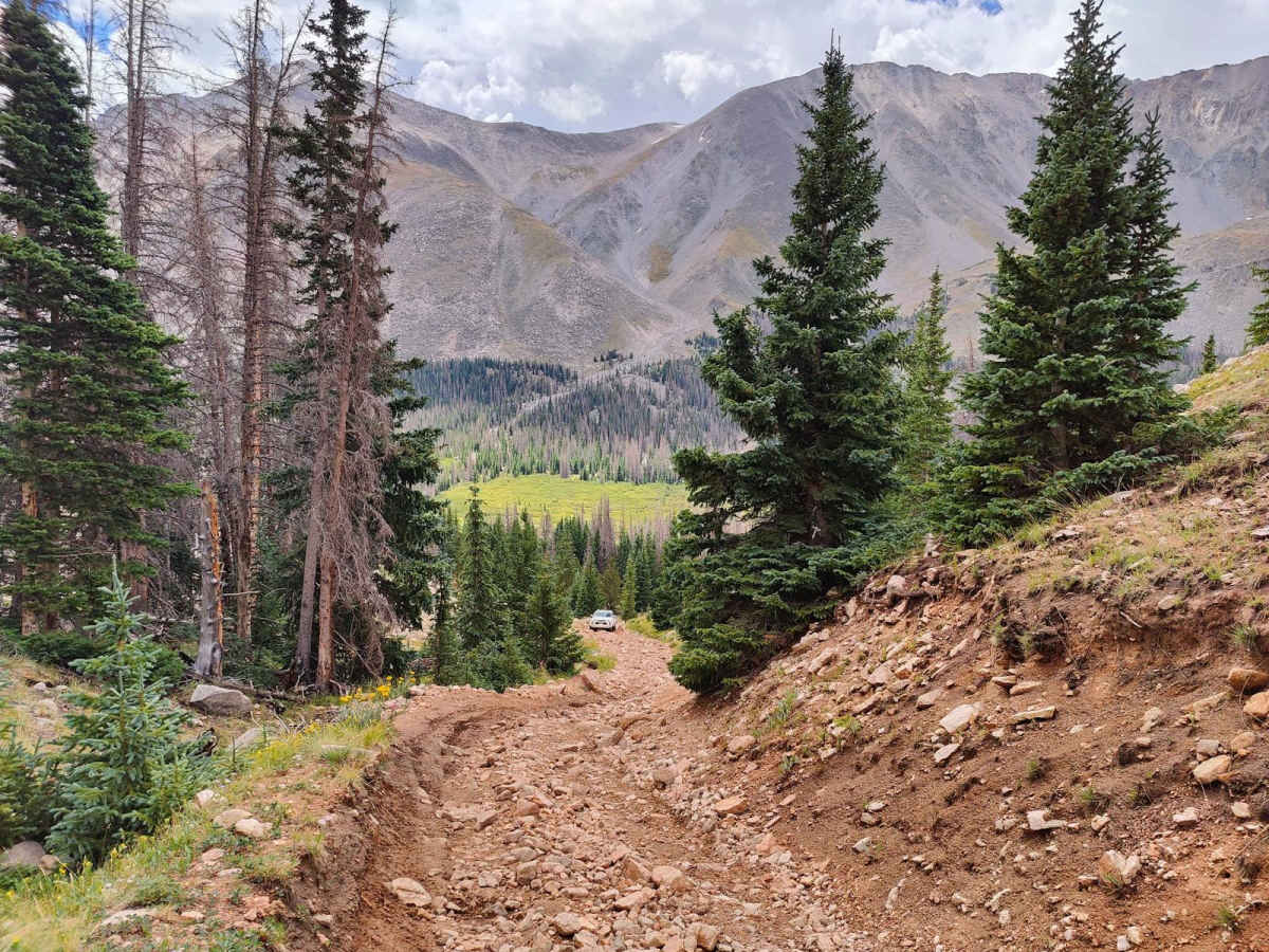 Browns Creek Trail photo 5
