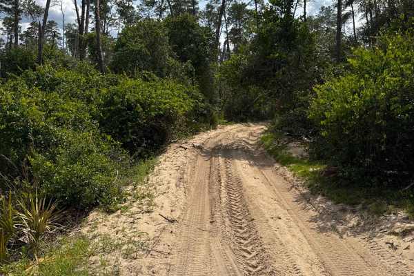 North Prairie West-East - ONF 170 AV-0.7