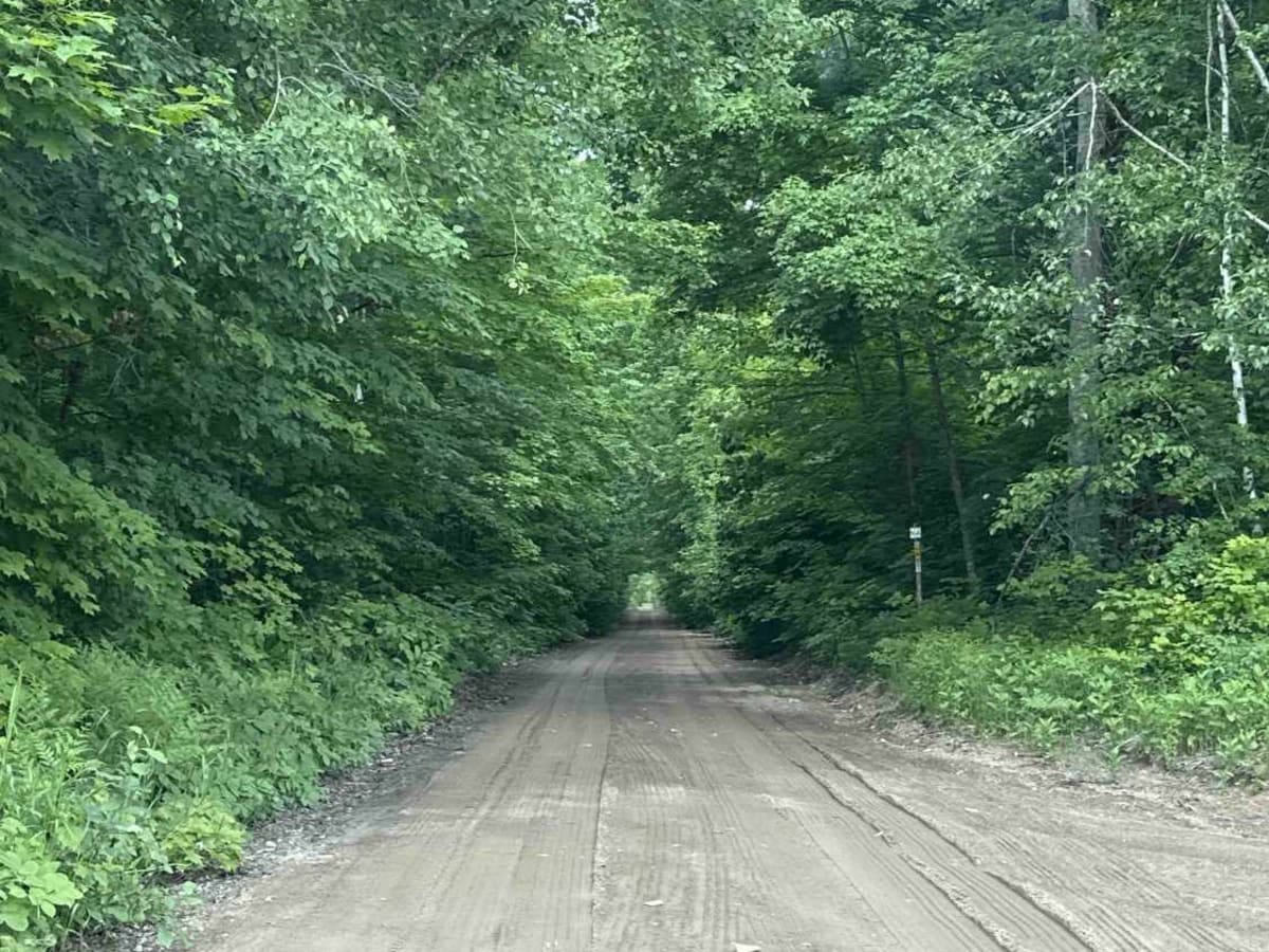 Trout Lake to Brevort trail photo