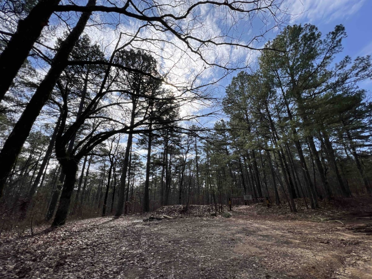 Link Mountain Road 210 photo 3