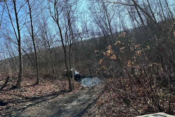 Locust Gap 59