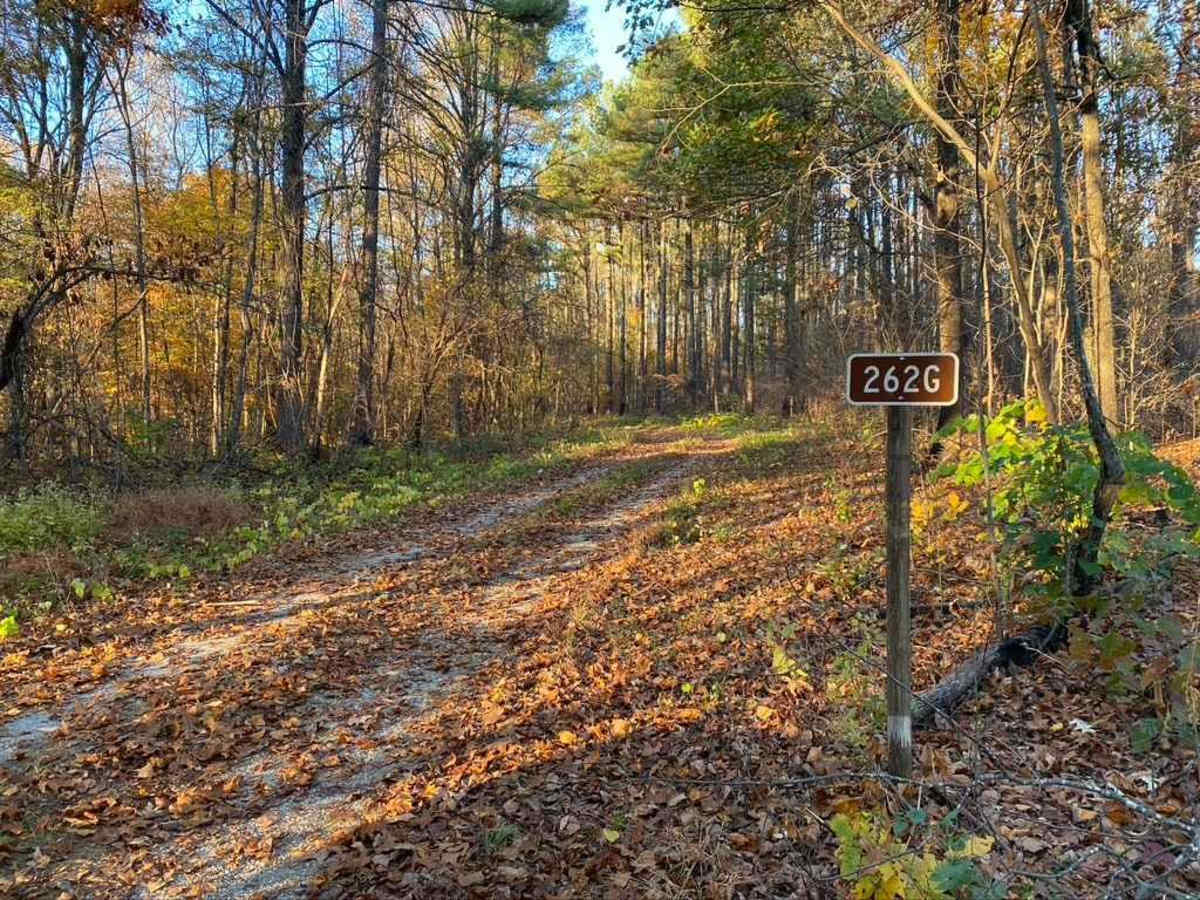 Slick Ridge FSR 262G trail photo