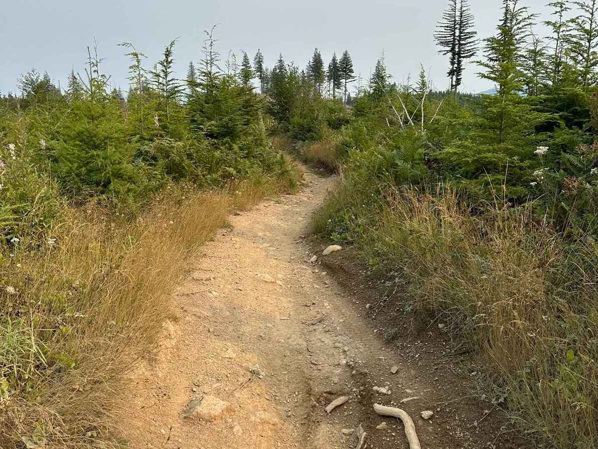 Weber's Wandering trail photo