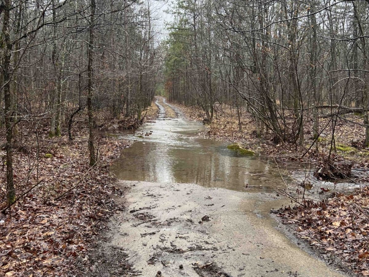 North Fork Pinnacle Road 132C photo 5