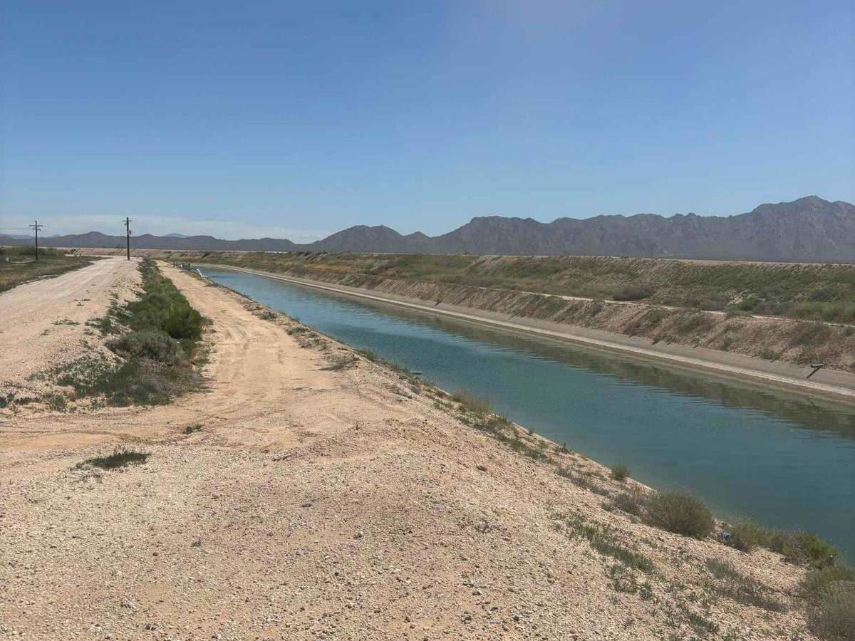 Eloy Canal Trail photo 5