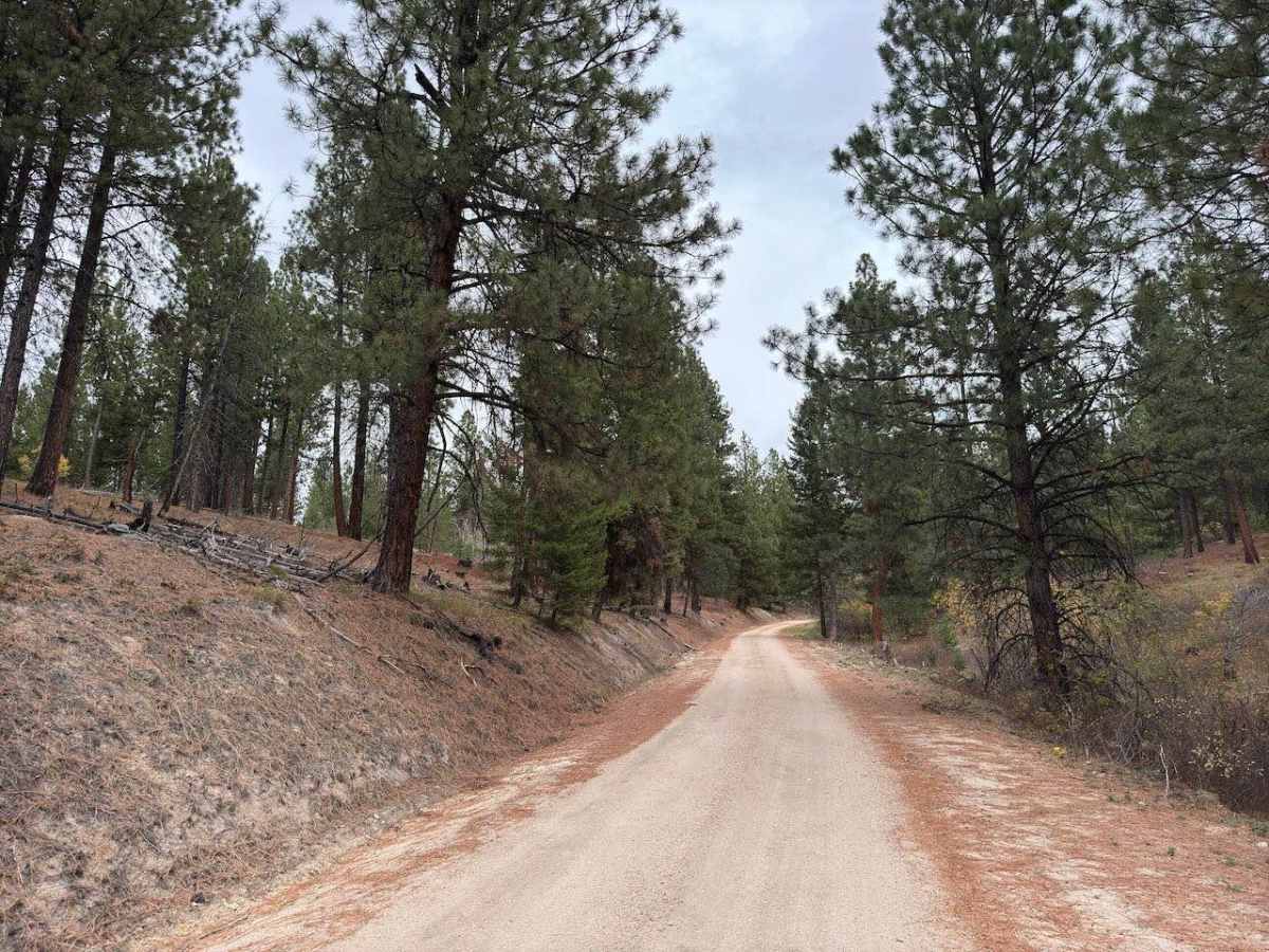 Mine Road photo 3