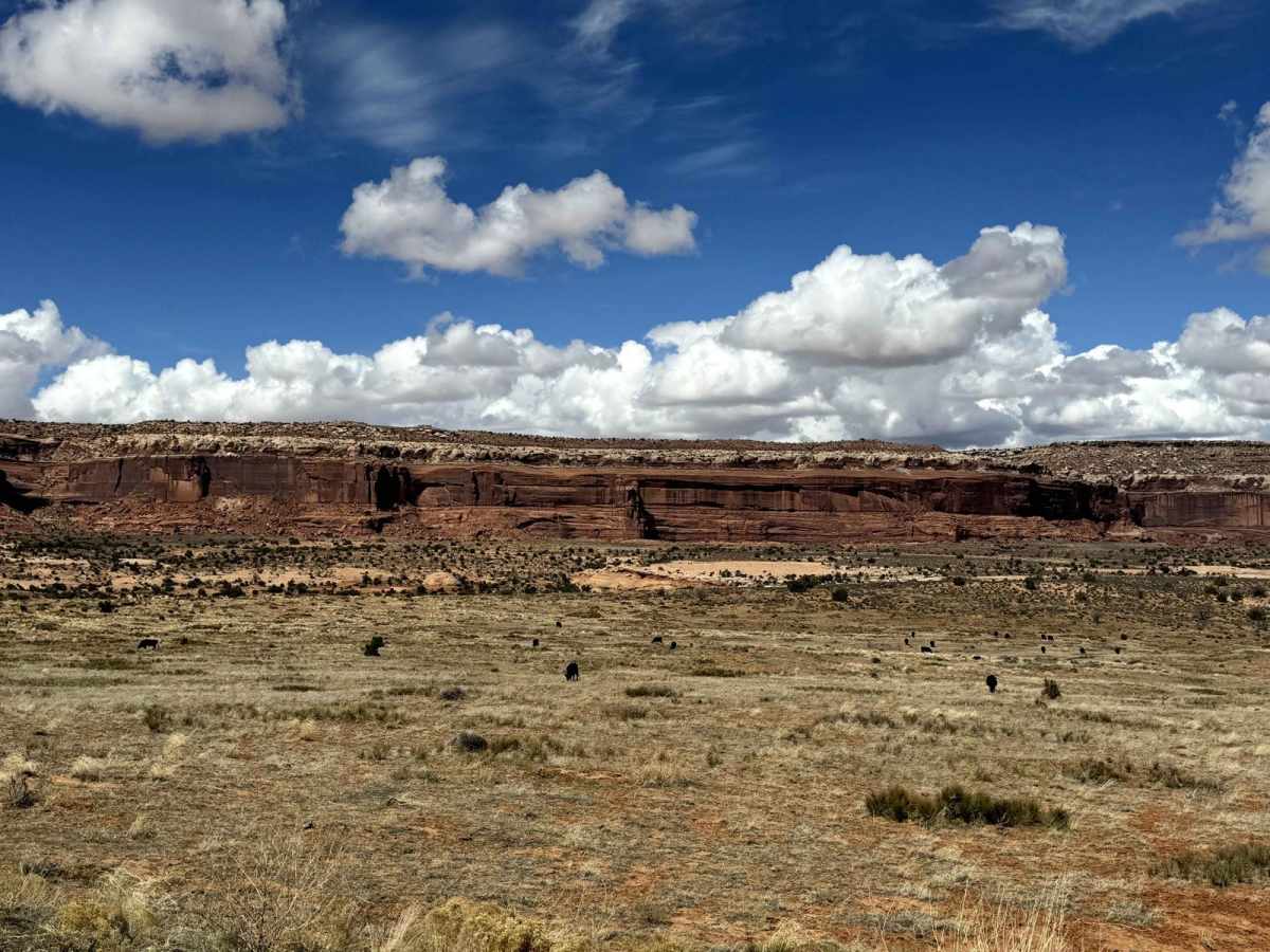Roaring Rim Bypass trail photo
