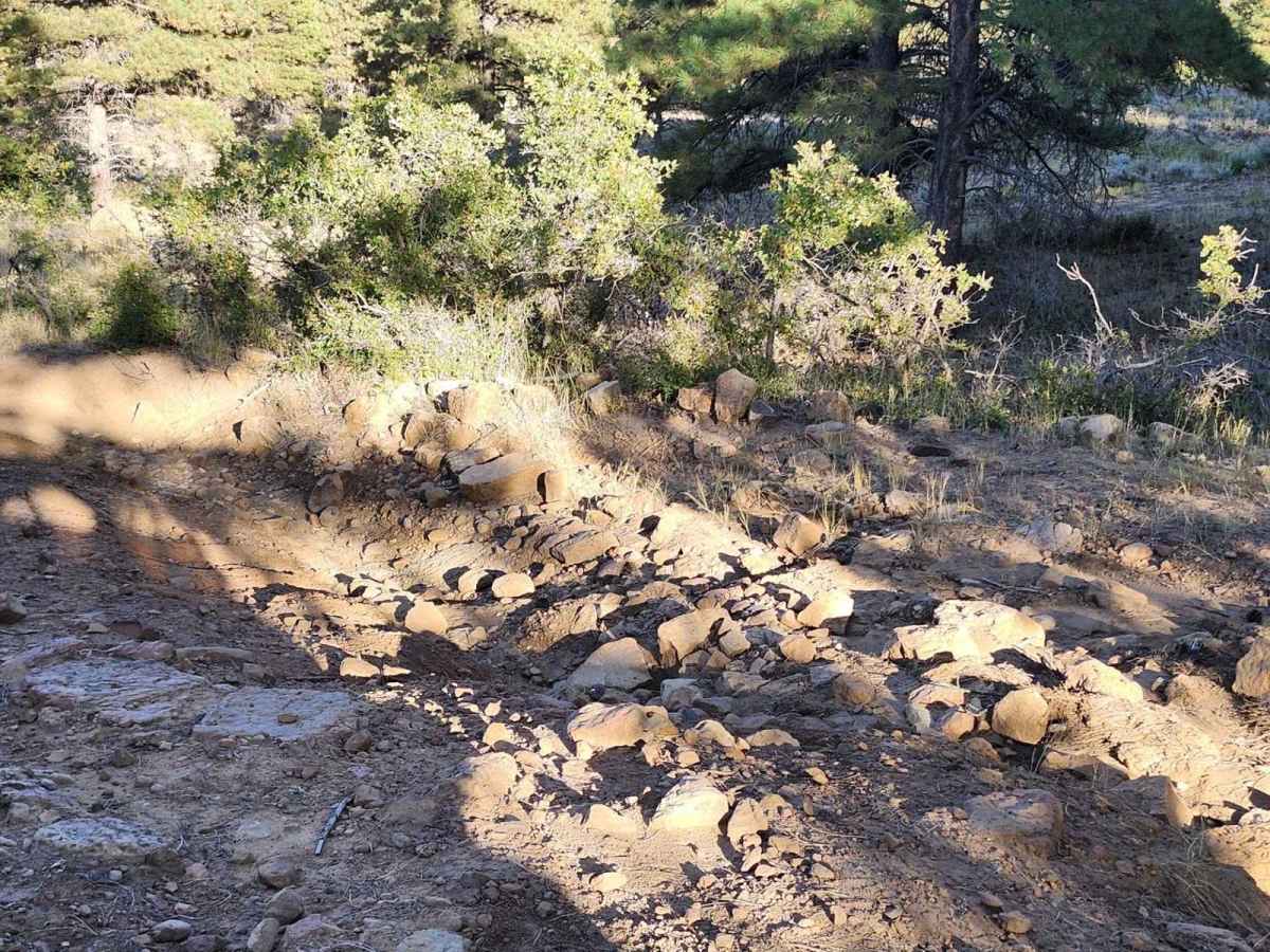Lower Stock Pond Trail photo 5