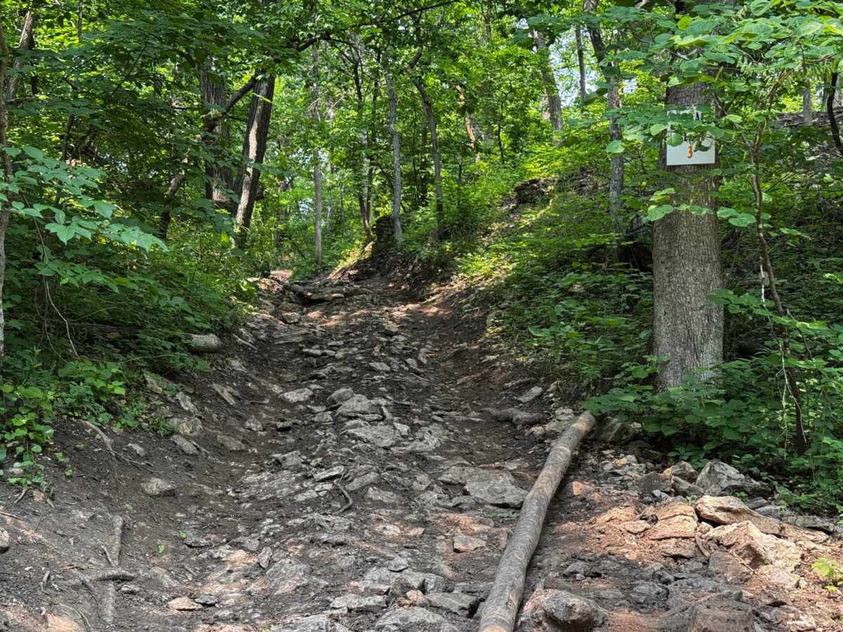 Garbage Alley 122 trail photo