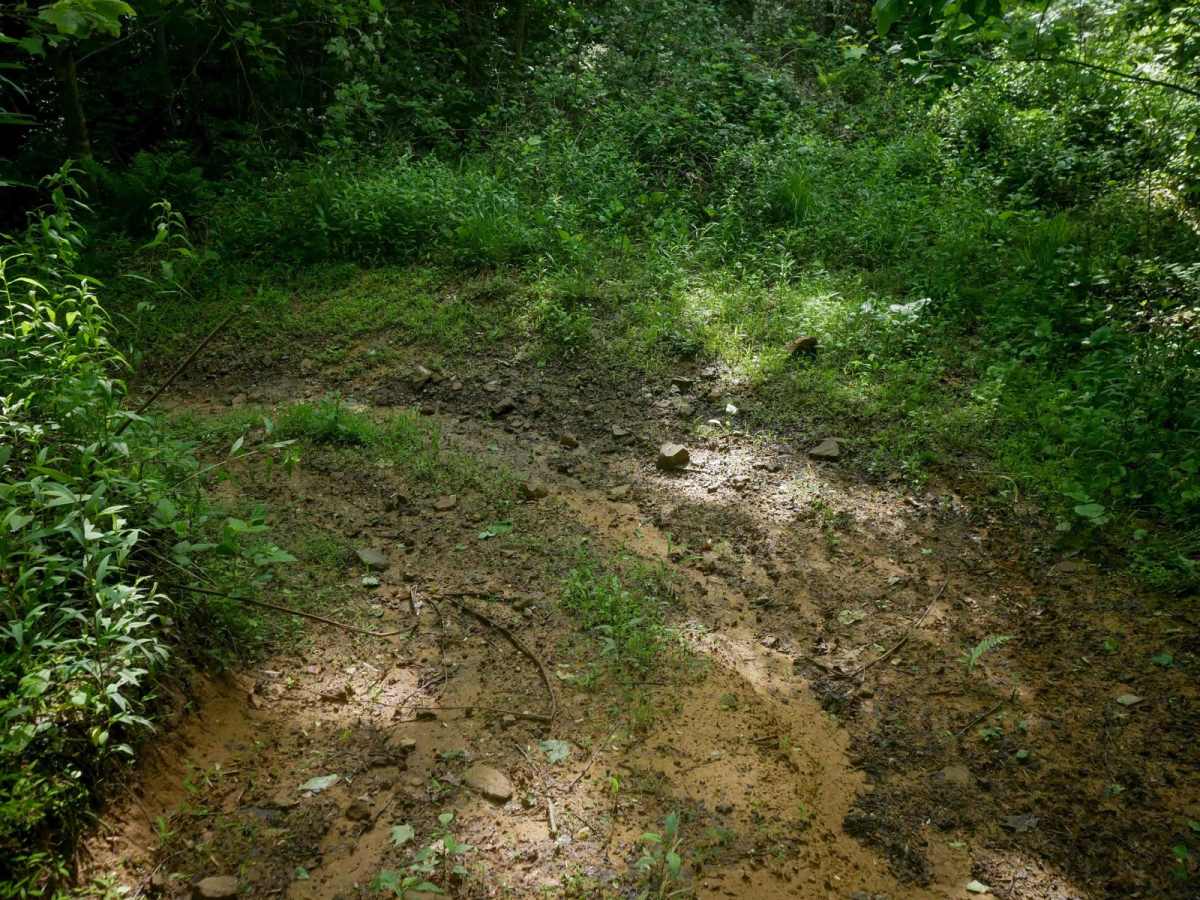 RV27 photo 5