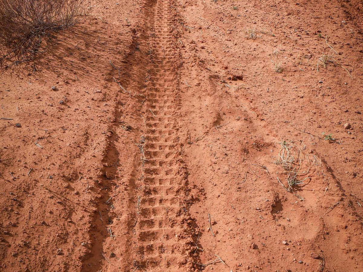 Saddle ATV Trail photo 4