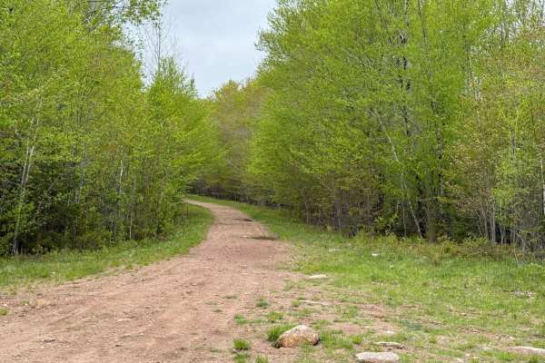 Gold River Lake Trail
