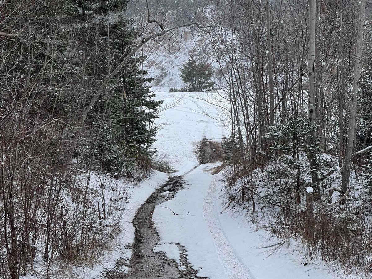 Quarry Road photo 5