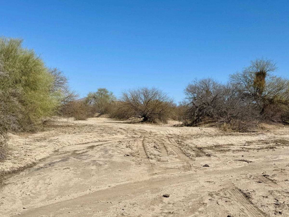 Durham Wash trail photo