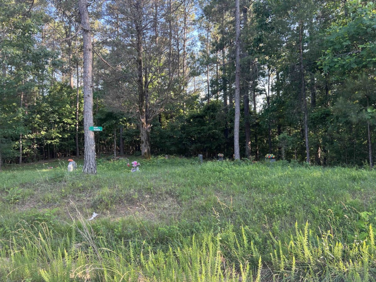 Meadow Creek Road photo 4
