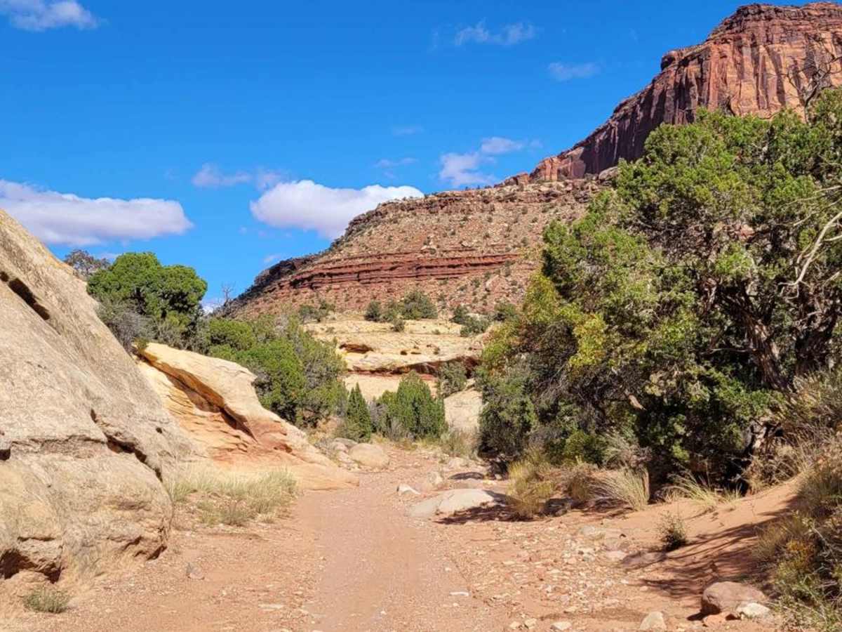 Dry Fork Canyon Road trail photo