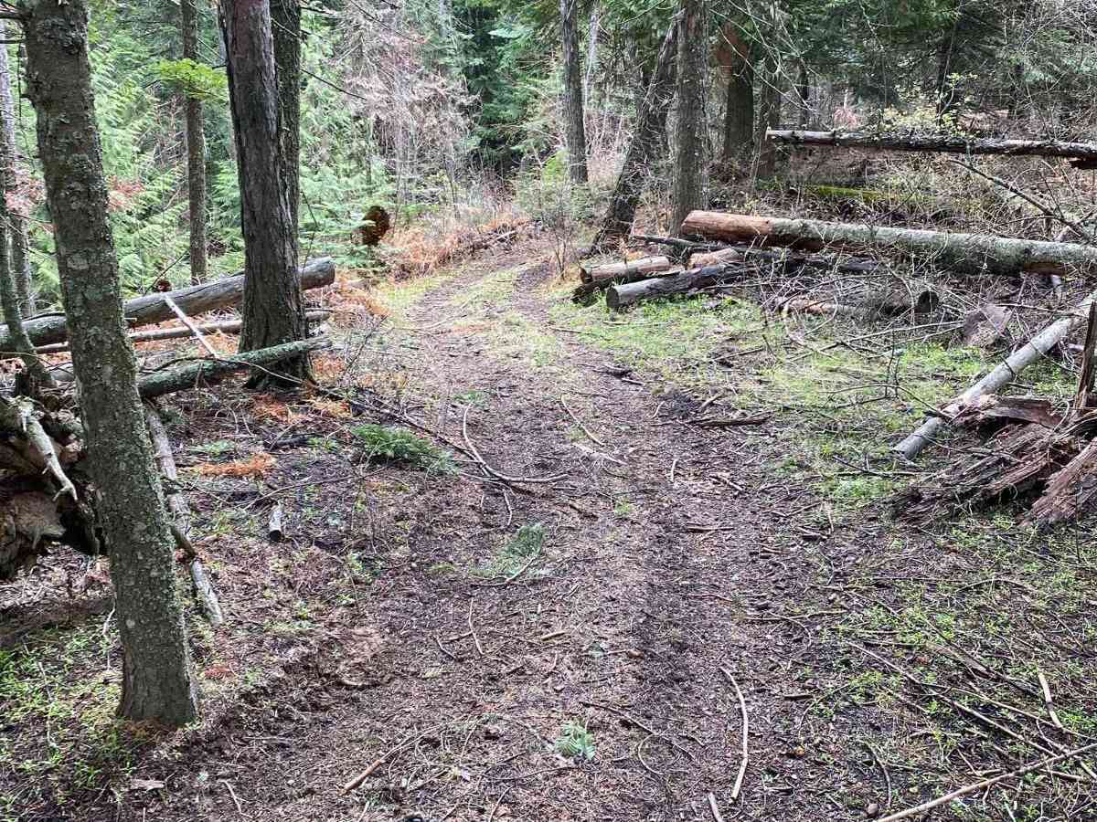 Boundary Point photo 4