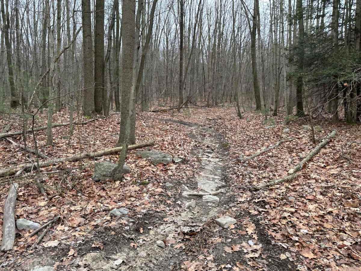 Tower City Single Track 3 - C photo 4