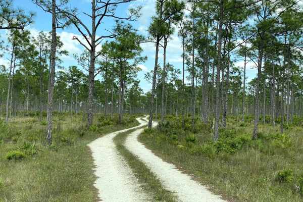 Yucca Penns-Road 3