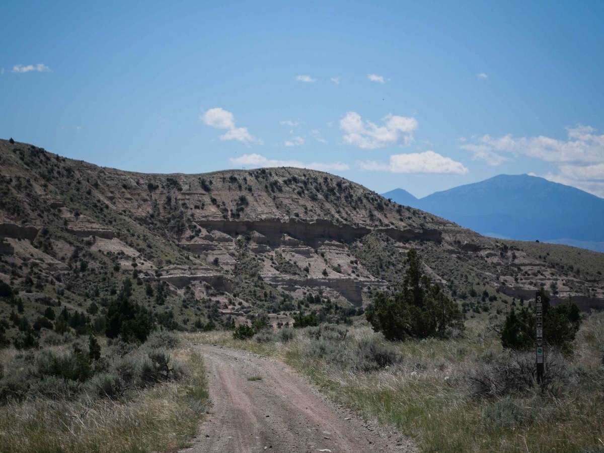 BLM 3 photo 5