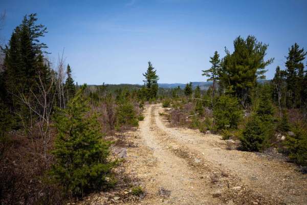 Bowser Trail