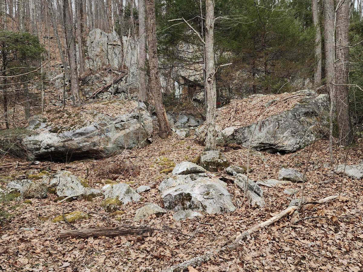 Frederick Watershed photo 4