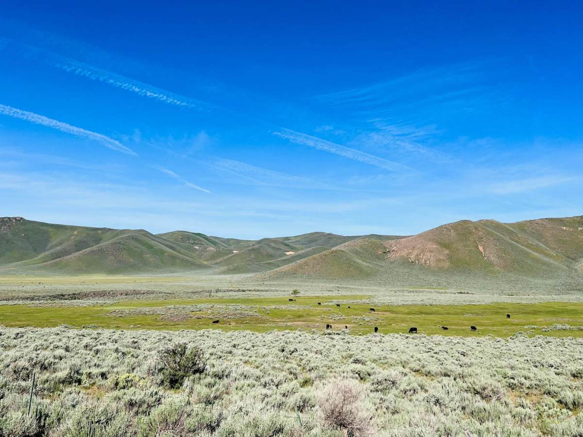 Fish Creek Reservoir Access photo 4