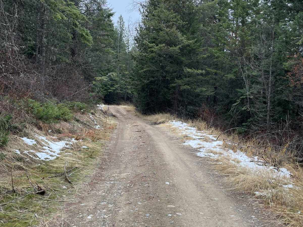 Cliff Ridge Road photo 4