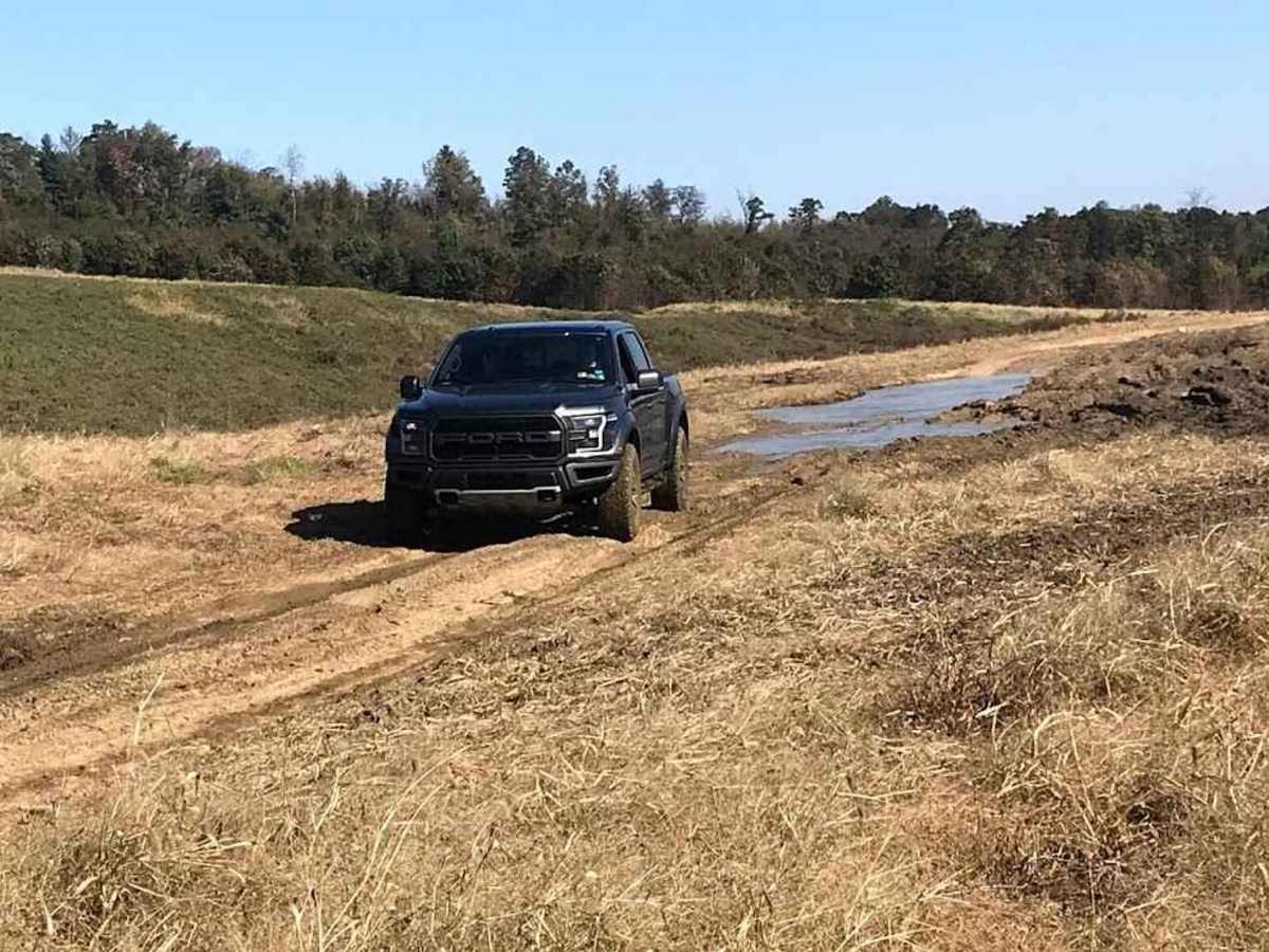 Area 51 Green B trail photo