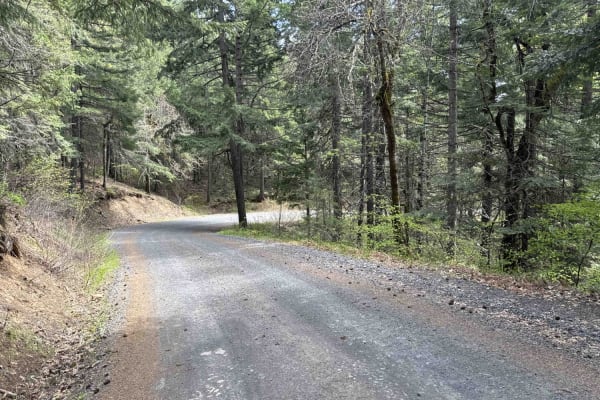 Buck Creek N-1000 to Little Baldy Peak