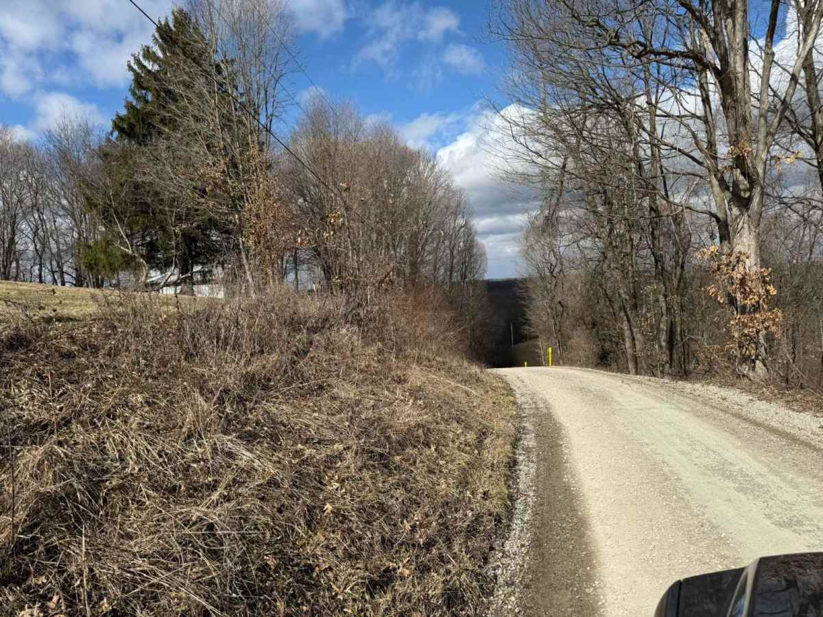Plecher Road to Pyramid House photo 4