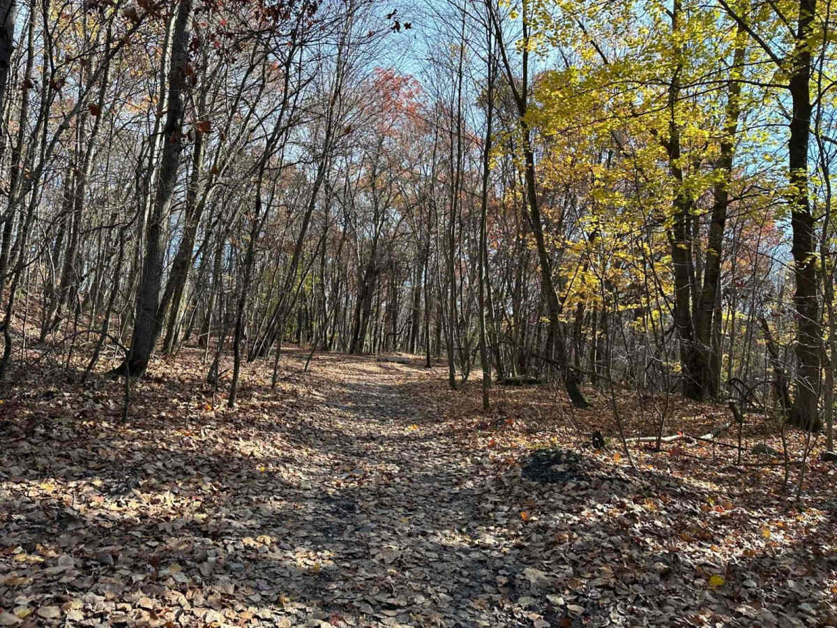 Ashland 101 trail photo