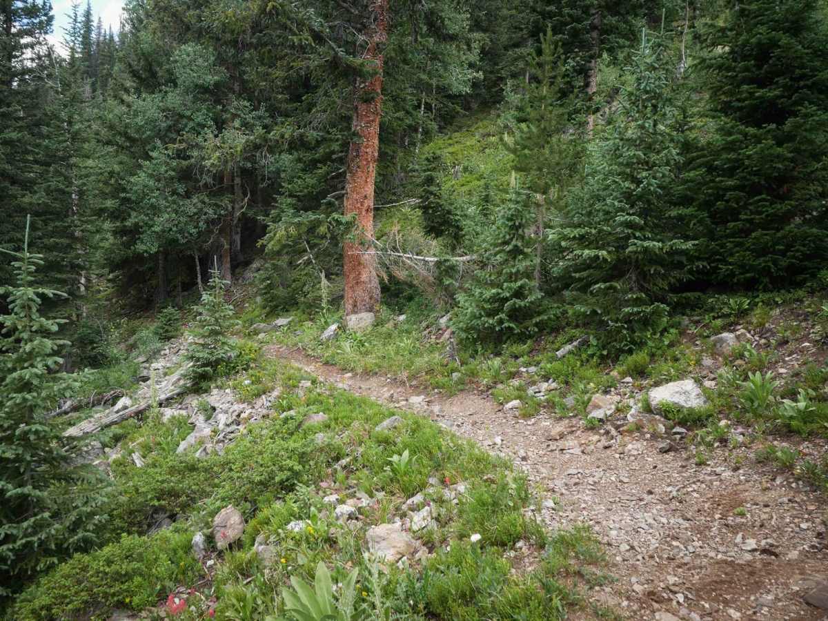 Jack Park Trail photo 2