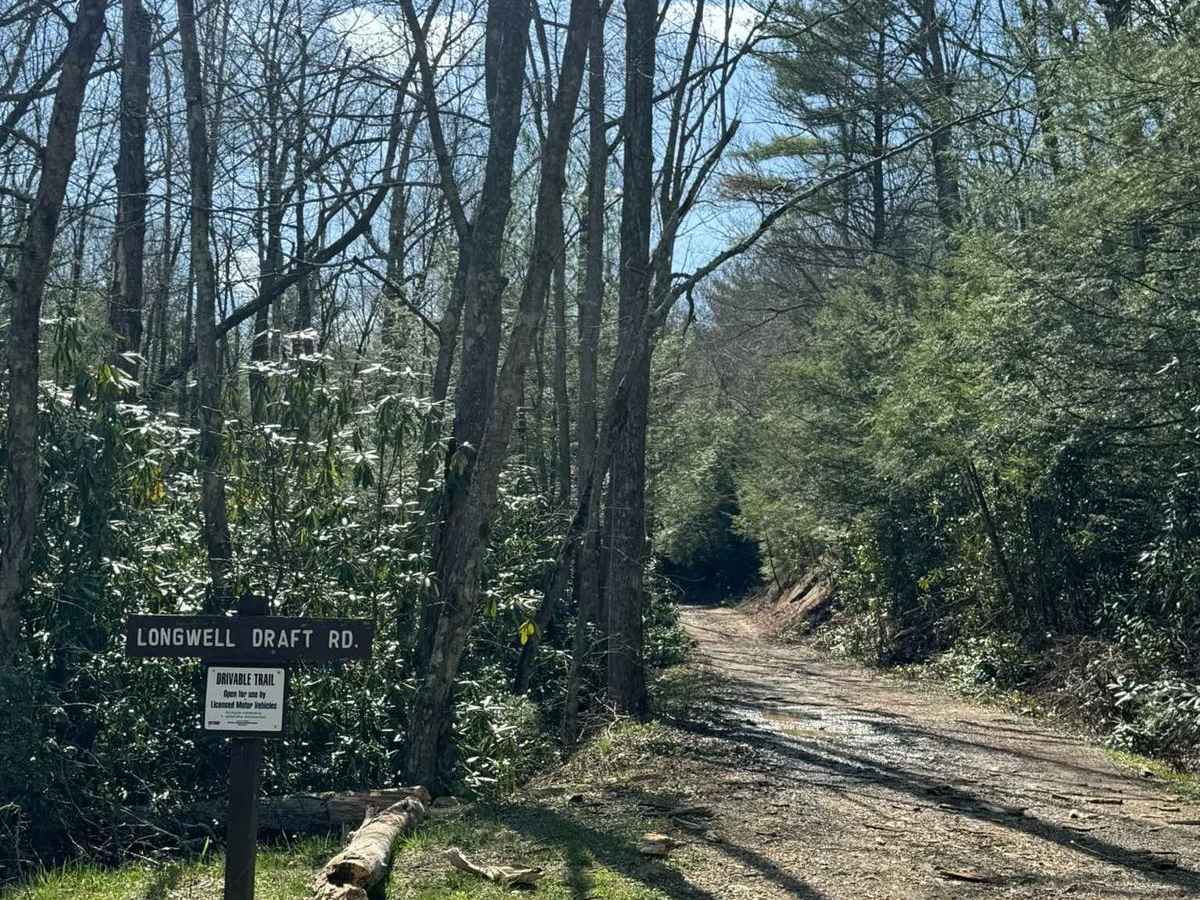 Longwell Draft Road trail photo
