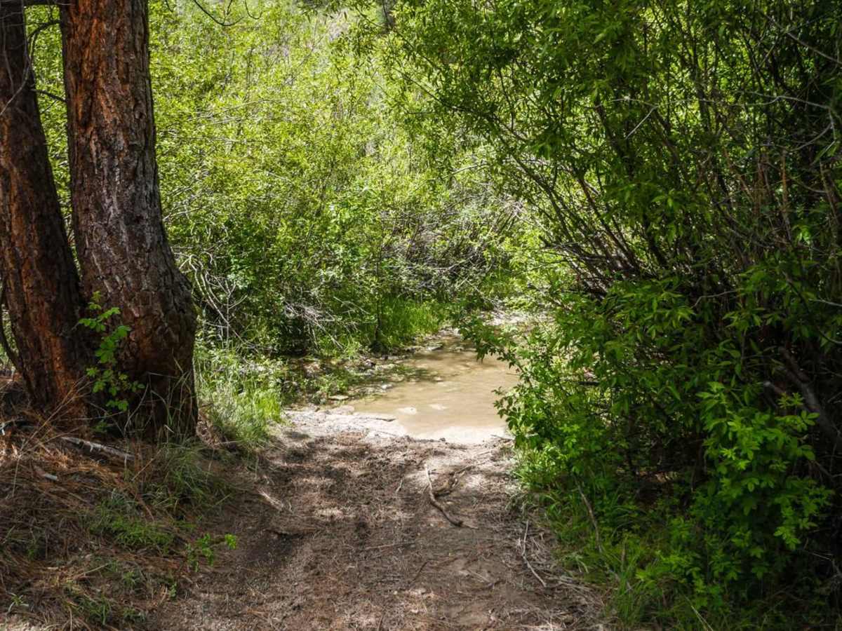 531 trail photo