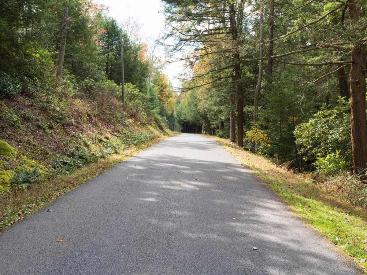 Bear Meadows Road photo 2