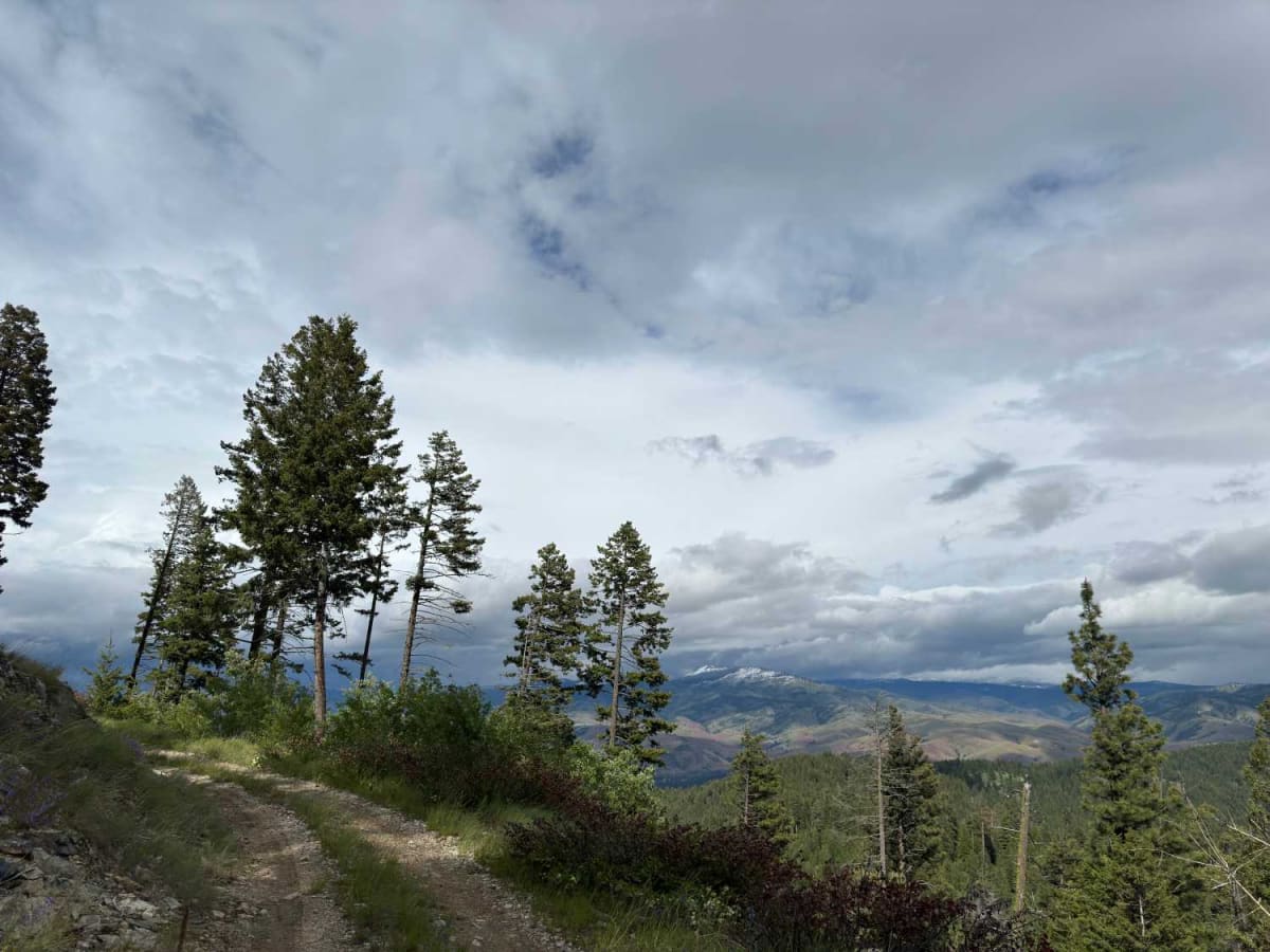 Upper Spoon Creek photo 3