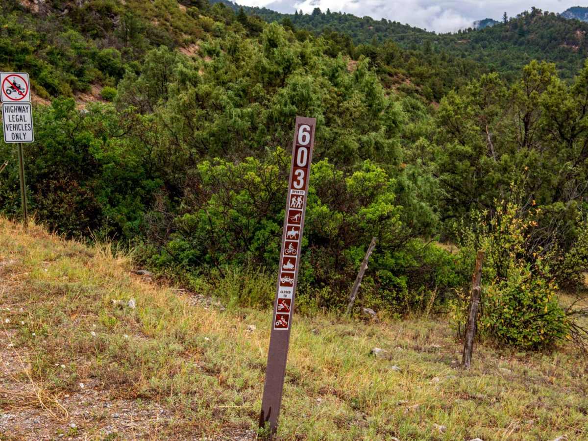 Main Elk Creek trail photo