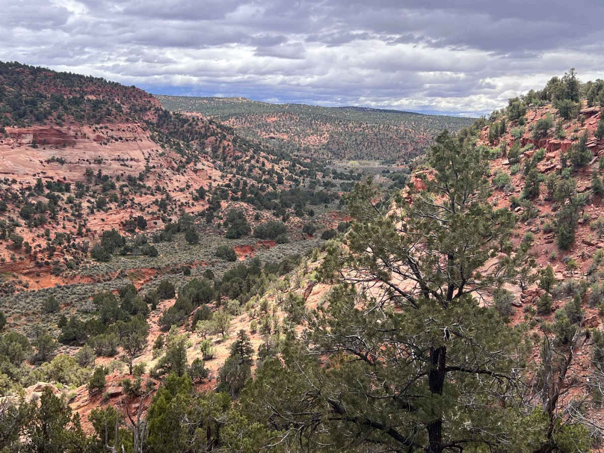 Waterglyph Lane (BLM 101) photo 5