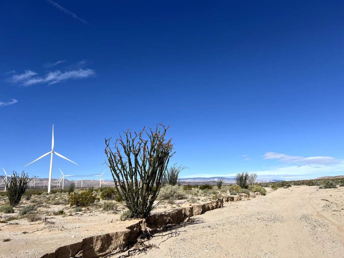 Trans-Ocotillo Connector photo 5