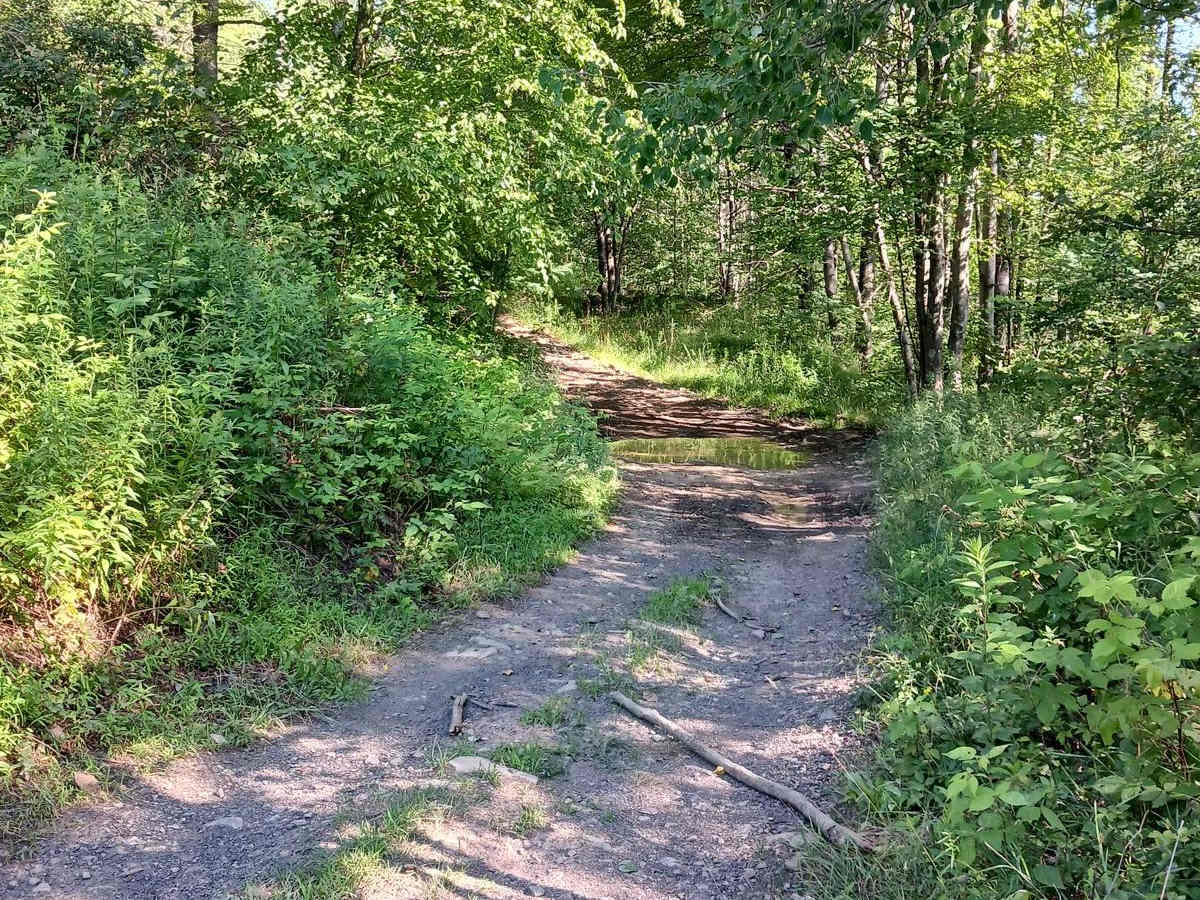 Trail 12P - Rock Run Recreation Area photo 3