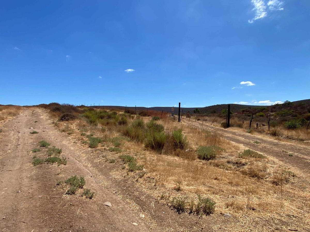 Dos Ranchos photo 3
